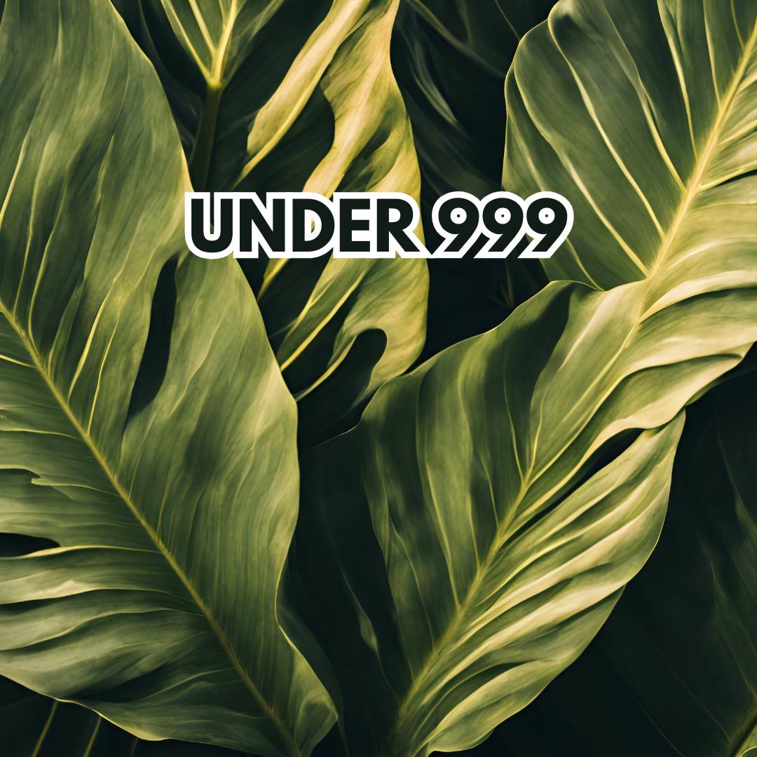 Under 999