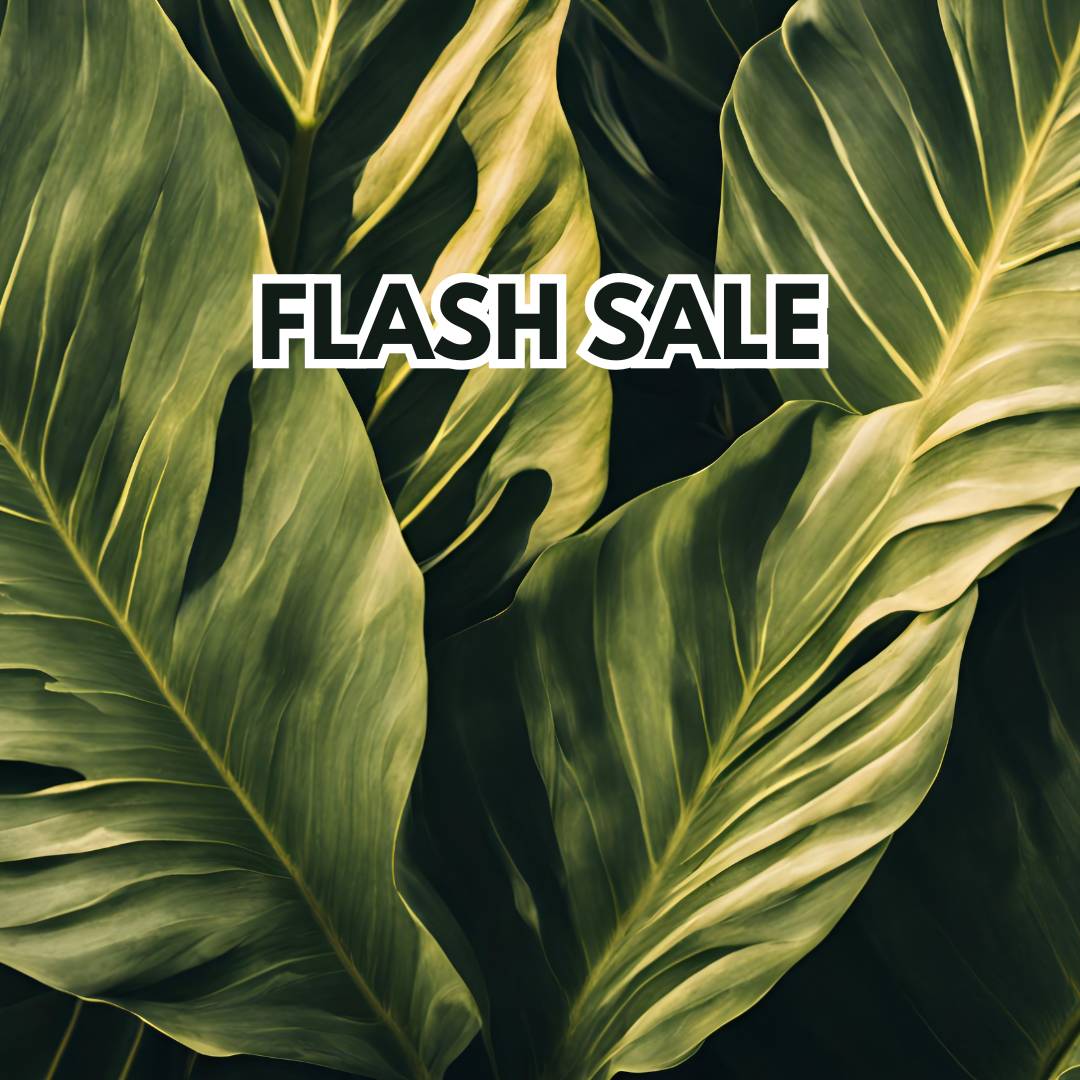 Flash Sale