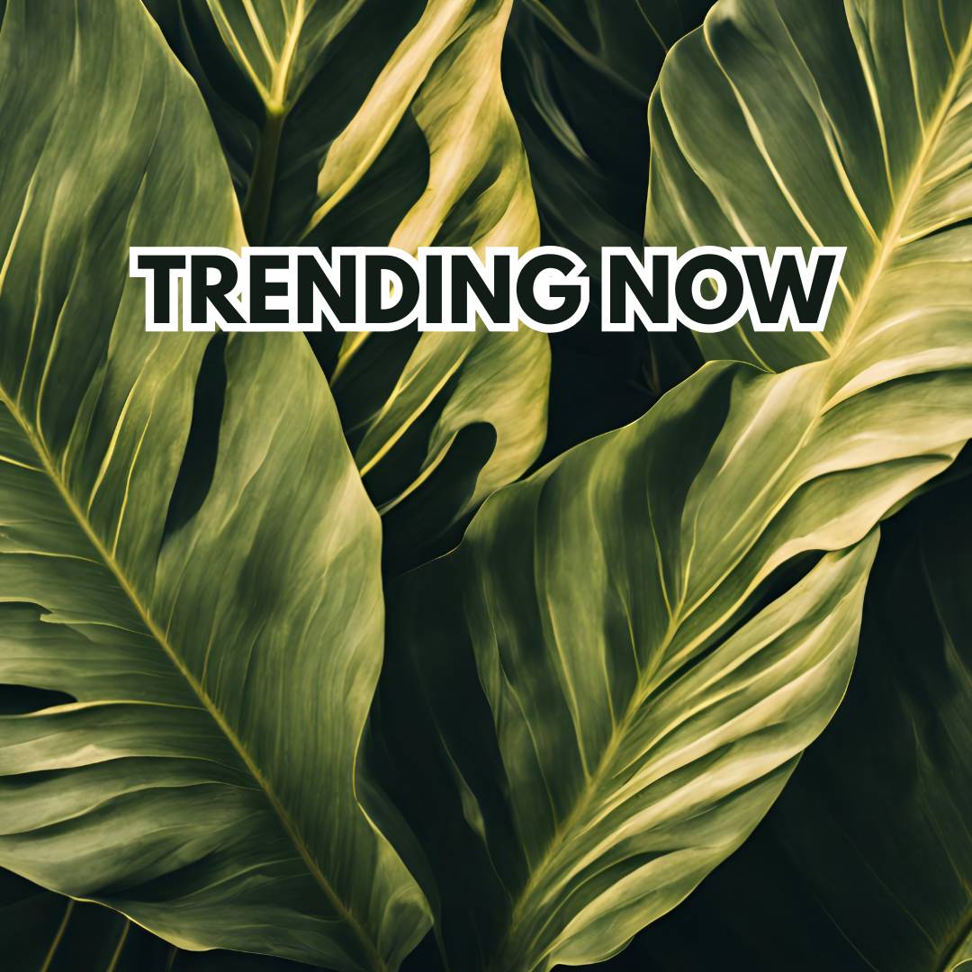 Trending Now