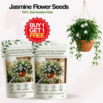 Winter-Friendly Hanging Jasmine — Dreamy Indoor Flower Seeds (Buy 1 Get 1 Free)